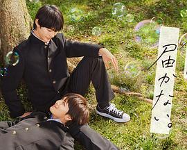 顺德软件seo优化平台